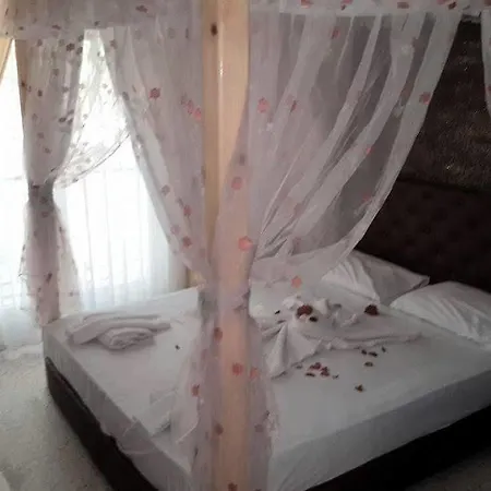 Selay Hotel 2*